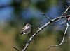 Photo taken by: MichaelSullivan